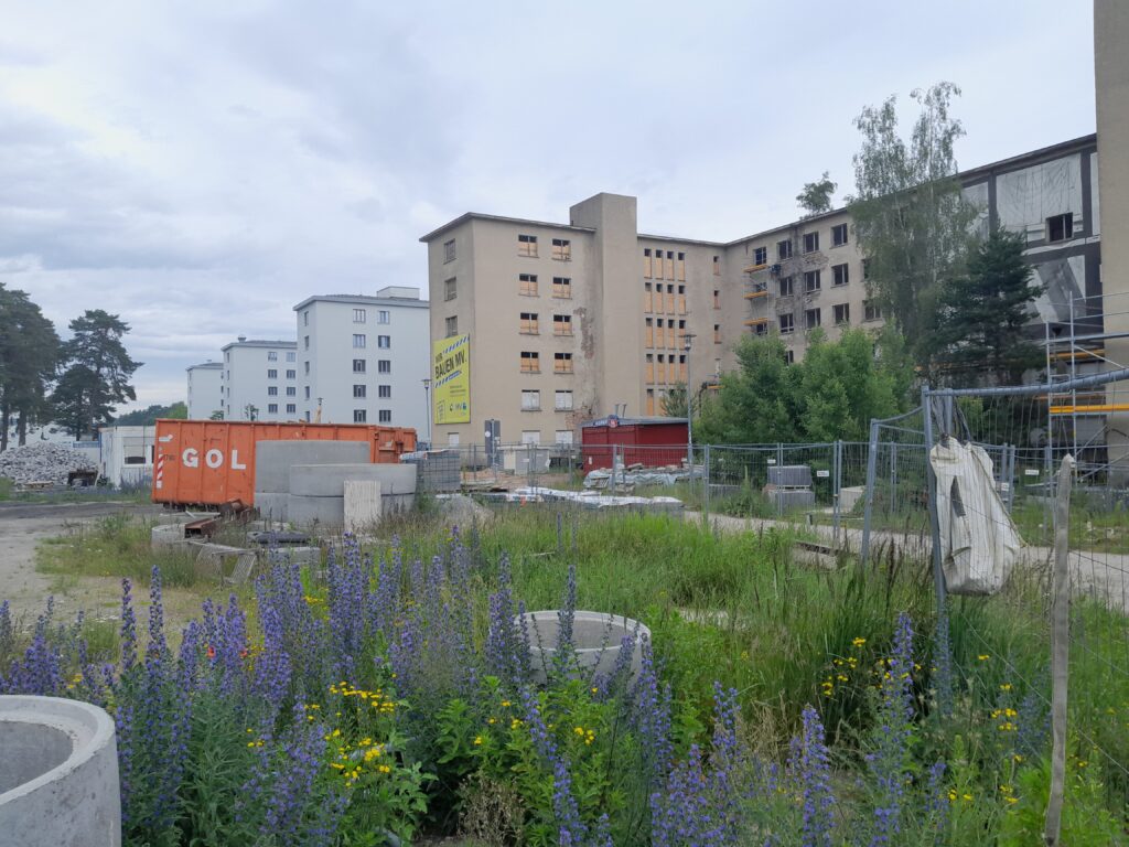 Remontissa ja rakenteillla oleva pääty Proraa.