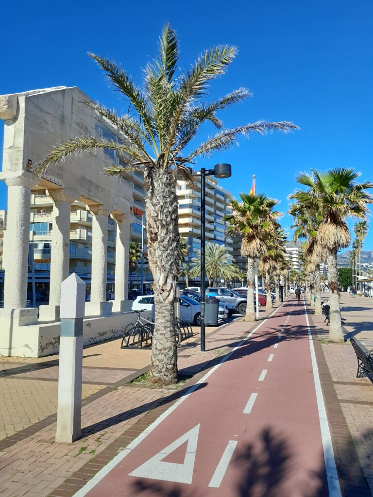 Näkymä Los Bolichesin Paseo Maritimo -rantakadulta, jossa palmujen välissä menee pyörätie. On myös penkkejä, kerrostaloja sekä autoja parkissa.