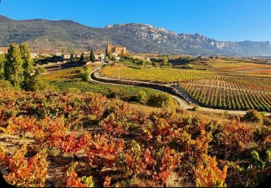 Logroñon San Mateo – Viininkorjuujuhla vailla vertaa: Pohjois-Espanjassa sijaitseva La Rioja on maailmankuulu Tempranillo-punaviineistään. Alueen suurin ja näyttävin tapahtuma on Fiesta de la Vendimia Riojana (tunnetaan myös nimellä Fiestas de San Mateo). Upeaa kumpuilevaa viininviljelyä vuoriston reunustamana.